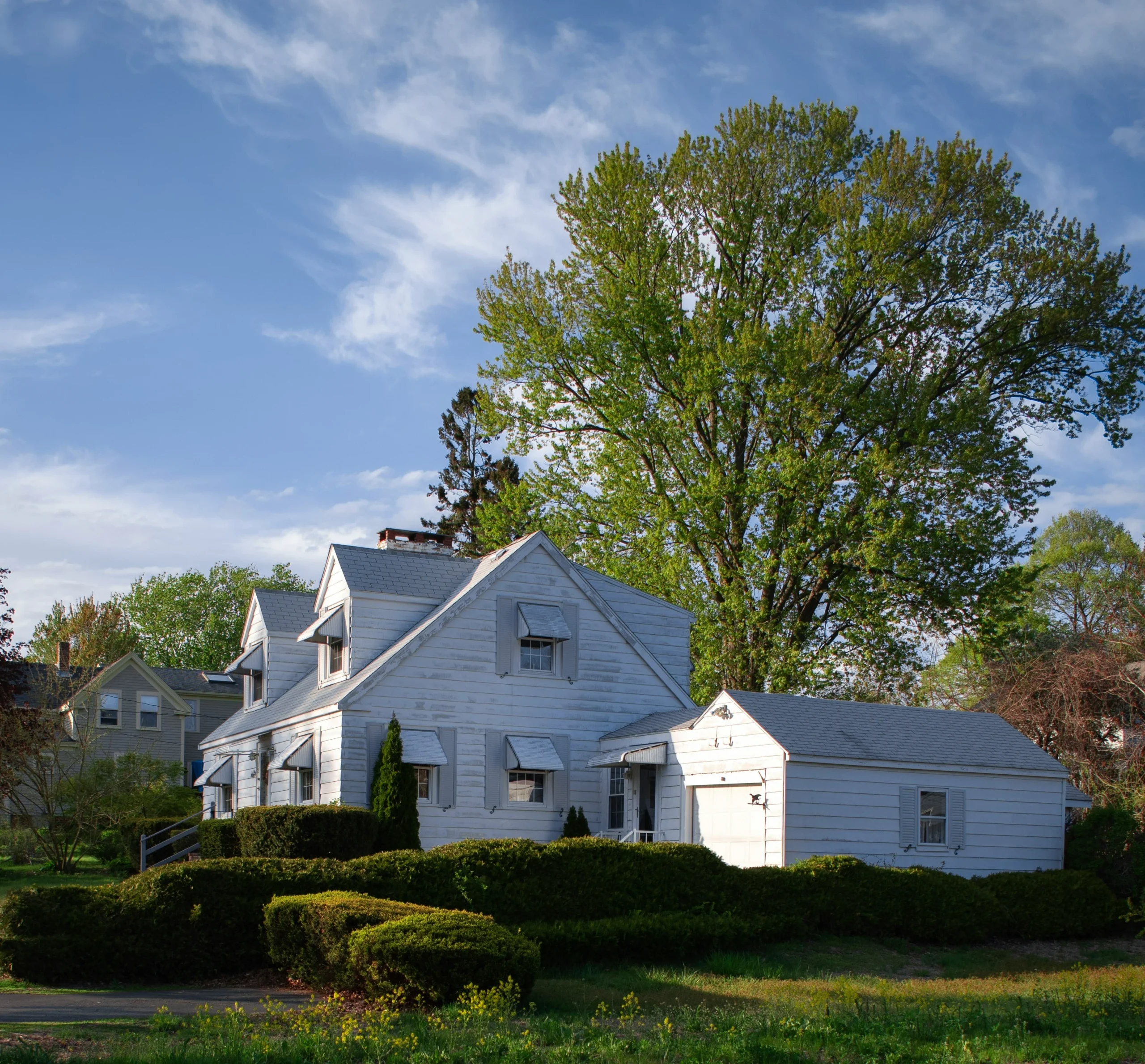 Comfortable residential care home in a peaceful neighborhood with a spacious yard and trees